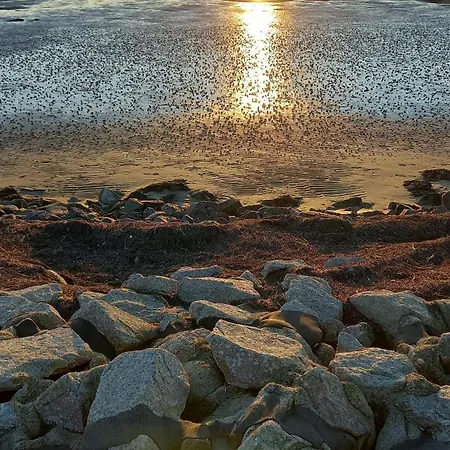 Luettje Koje Breklum